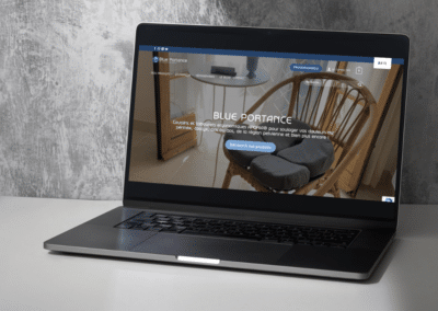 Création d&rsquo;un site vitrine pour Blue Portance